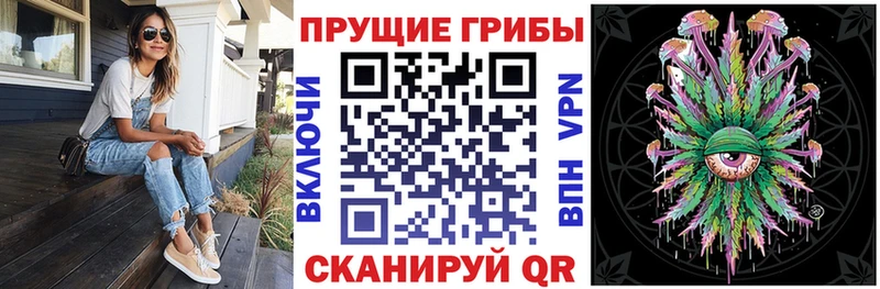 Псилоцибиновые грибы мицелий  где продают наркотики  Славгород 